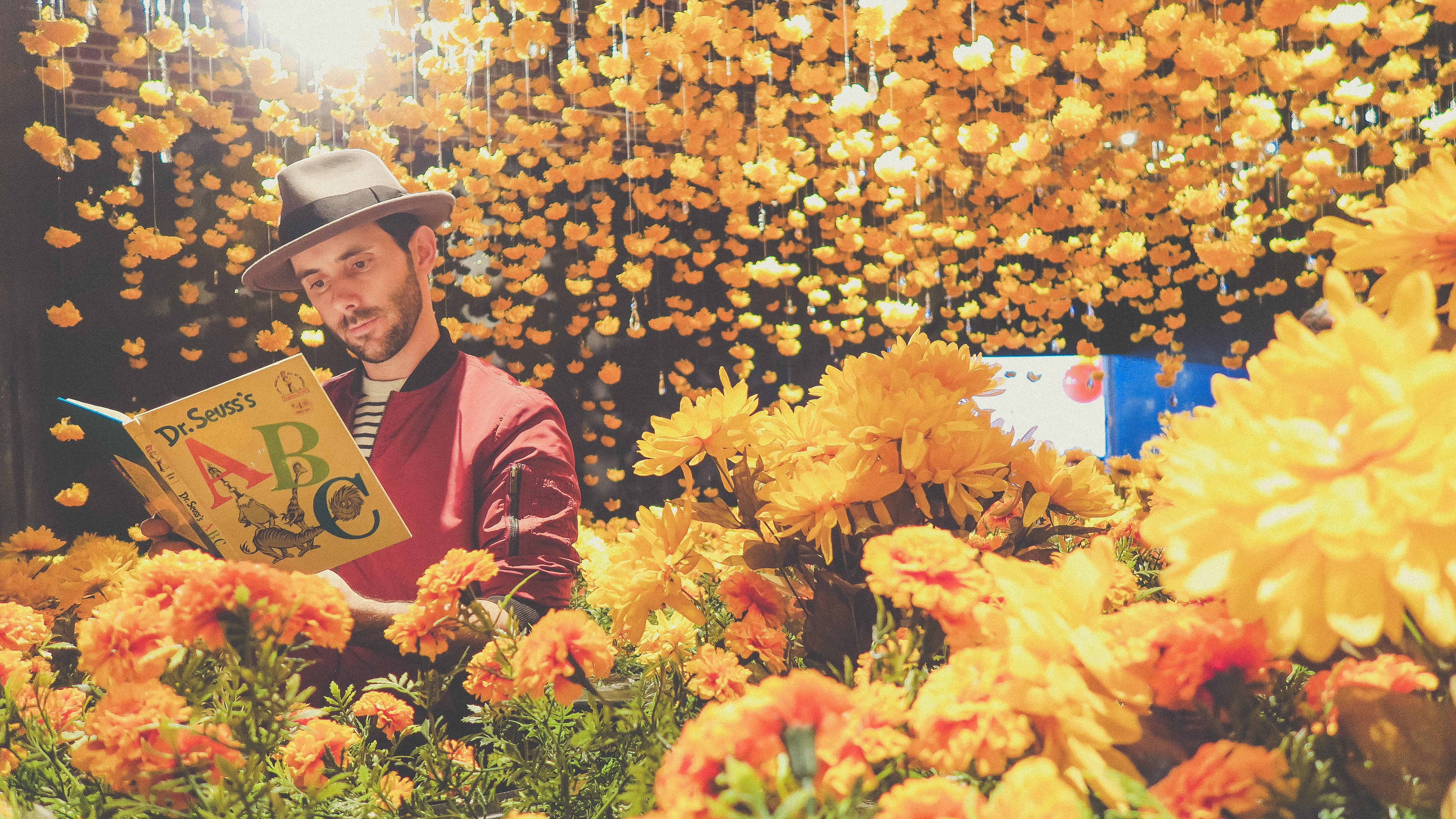 man reading Underrated Dr Seuss Books near yellow flowers