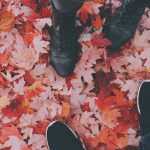 5 Famous Memoir Books Worth Reading (At Least Once): Stepping In Leaves