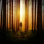 5 Captivating Historical Mystery Books That Will Thrill You