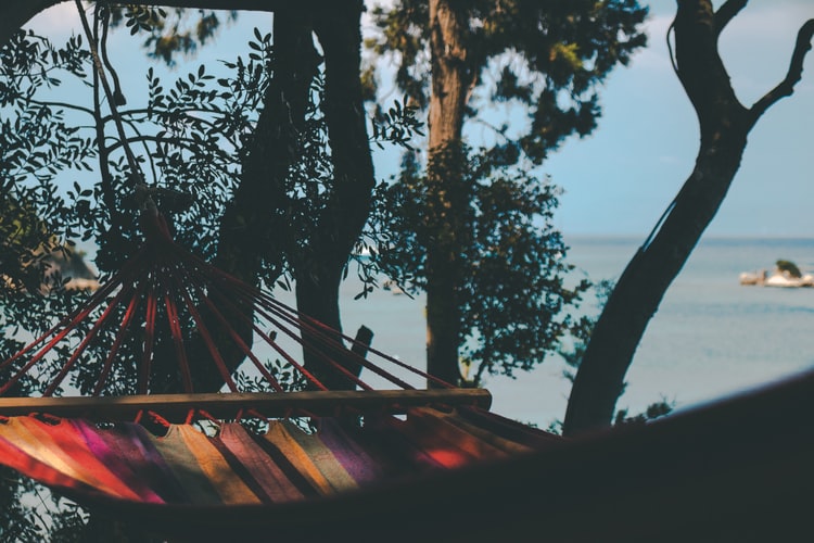 The Best Spring-Themed Novels Worth Checking Out