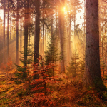 Best Autumn-Themed Novels To Check Out This Month