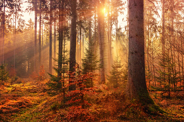 Best Autumn-Themed Novels To Check Out This Month